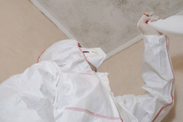 Kyle, SD Mold Remediation Company